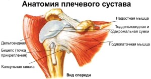 CHto-delat'-esli-boljat-plechi-Kompleks-uprazhnenij-Что-делать-если-болят-плечи-Комплекс-упражнений